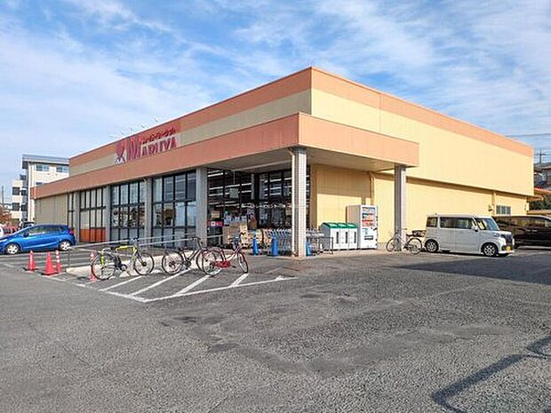 マルヤ東新井店（約500m）