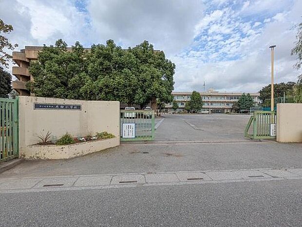 さいたま市立片柳小学校（約850m）