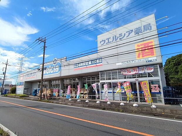 ウエルシア川口峯店（約800m）