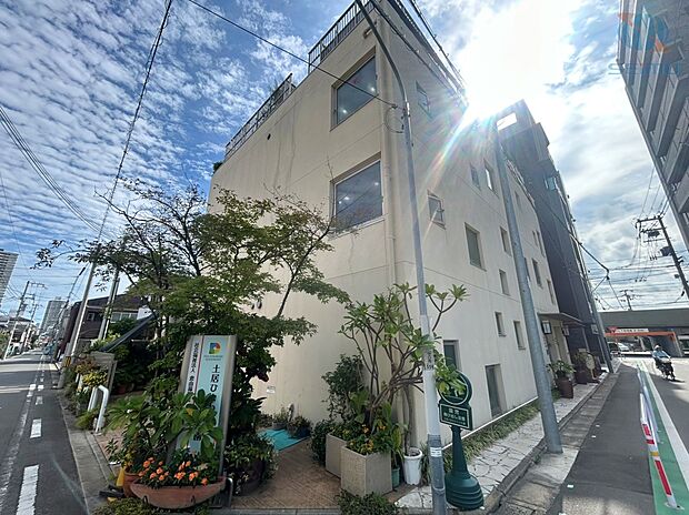 土居ひまわりこども園(約350m)