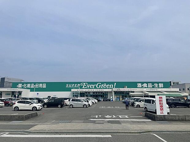 スーパーエバグリーン宮前店