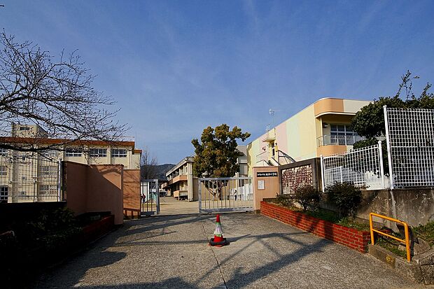 和歌山市立紀伊小学校