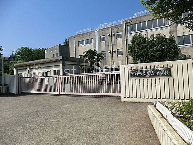 川崎市立南原小学校(約46m)