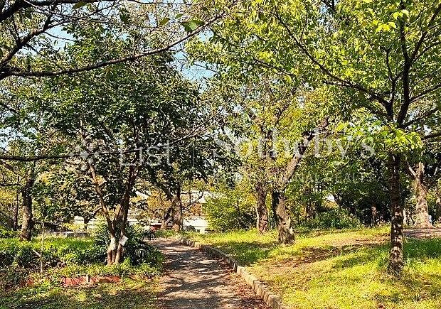 南河原公園（約900m）