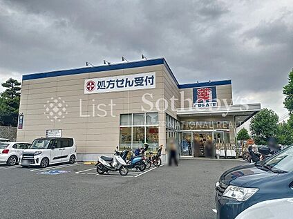 クリエイトエス・ディー川崎千代ケ丘店 1100m