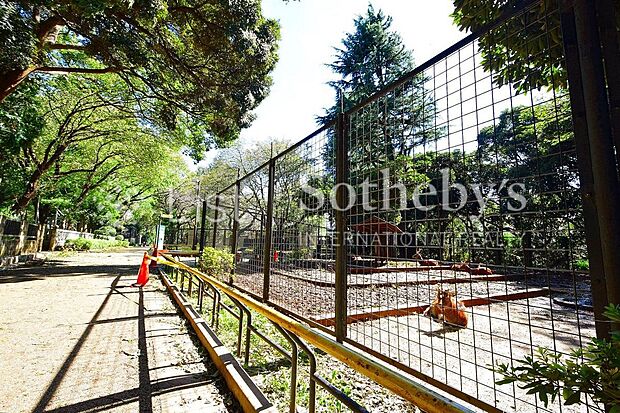 夢見ヶ崎動物公園(約450m)