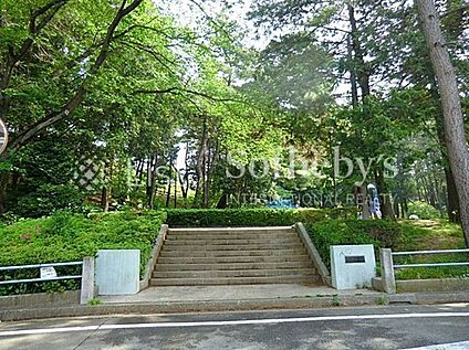 つつじが丘第一公園 550m