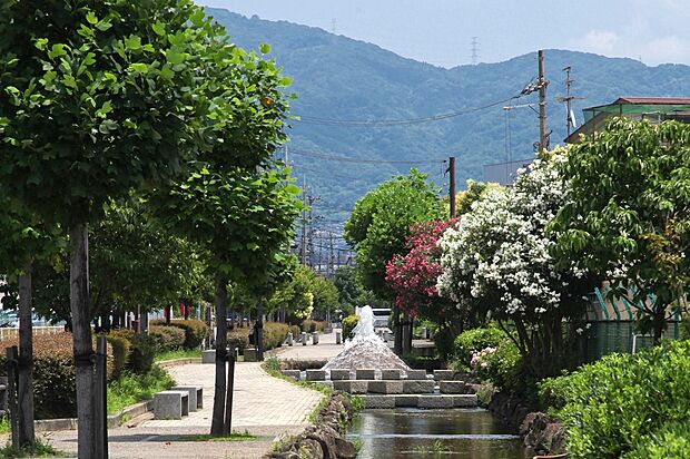 現地の周辺は遊歩道が整備され、美しい街並みです。四季の移ろいを感じながらの暮らしが想像できます。※鴻池四季彩々とおりまで徒歩3分~4分(約220m~約280m)(2014/6撮影)