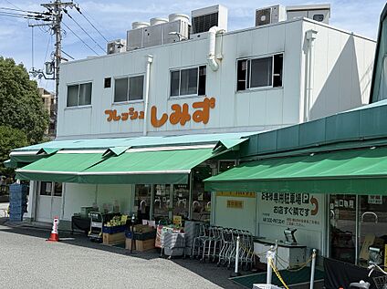 フレッシュしみず本店 約410ｍ～約510ｍ(徒歩6分～7分)
