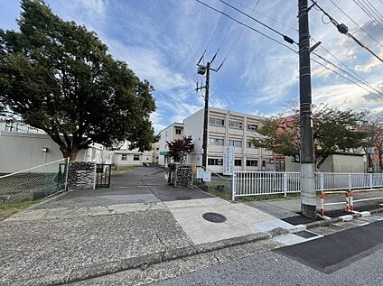 千葉市立千城台南中学校 950m～1100m(徒歩12分～14分)
