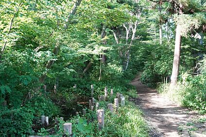 日野緑地 約255ｍ