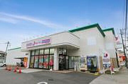 ジェーソン国分寺並木町店 約860m