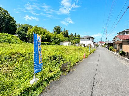 現地写真