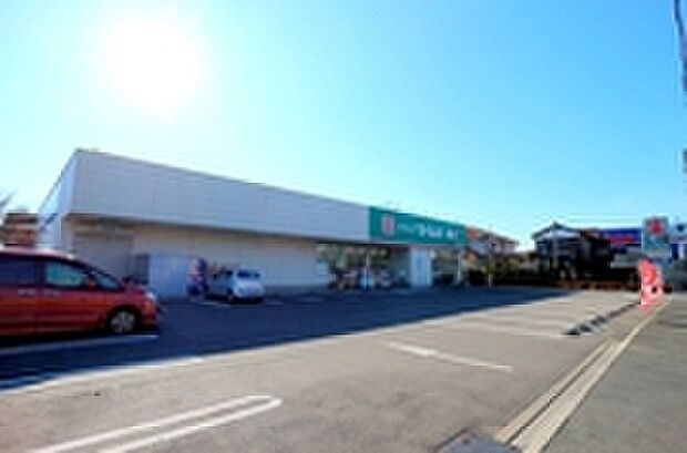ドラックセイムズ国分寺並木店