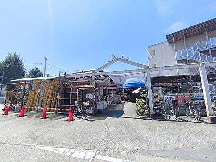 綿半ホームエイド国分寺店 約430ｍ