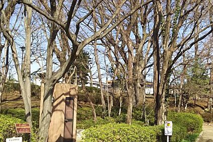 川越道緑地 約810ｍ