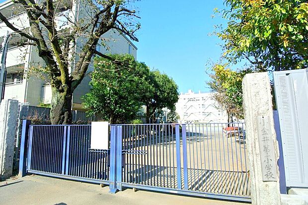 小金井市立小金井第一小学校（約400m）