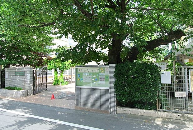 中野区立第七中学校（約450m）