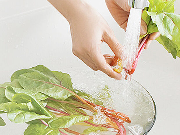 【浄水器】「浄水器」をスリムに内蔵したハンドシャワー式の水栓金具です。シンクもスッキリ!