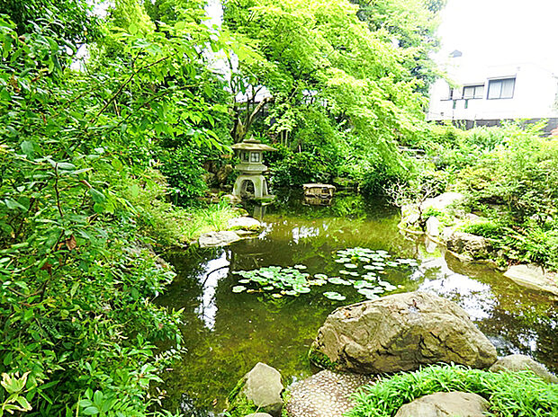 天沼弁天池公園