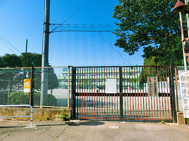 小金井市立南小学校(約350m)