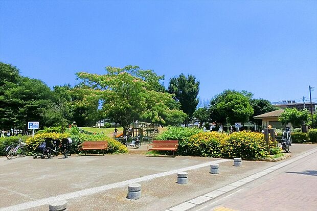 前原公園(とんぼ池公園)