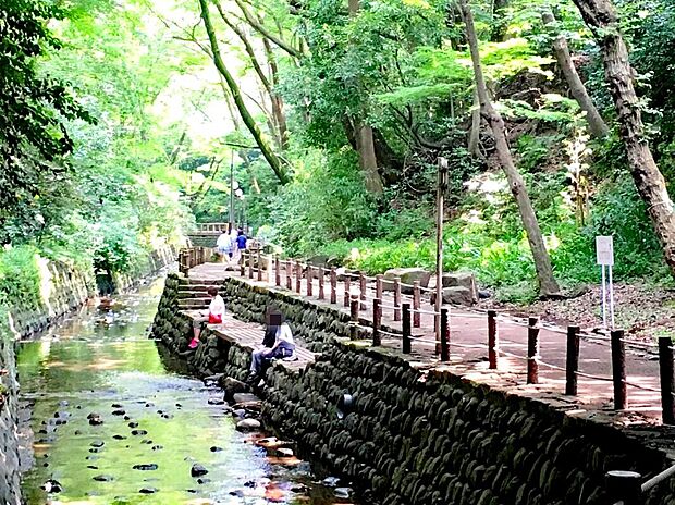 等々力渓谷公園