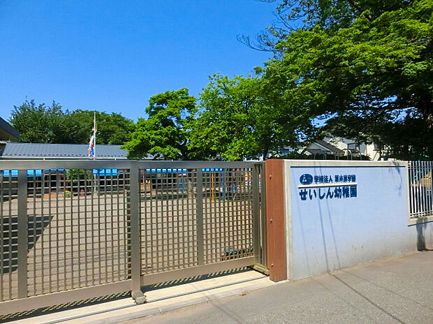 せいしん幼稚園