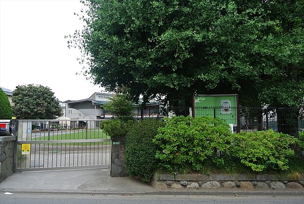 石神井幼稚園(約304m)