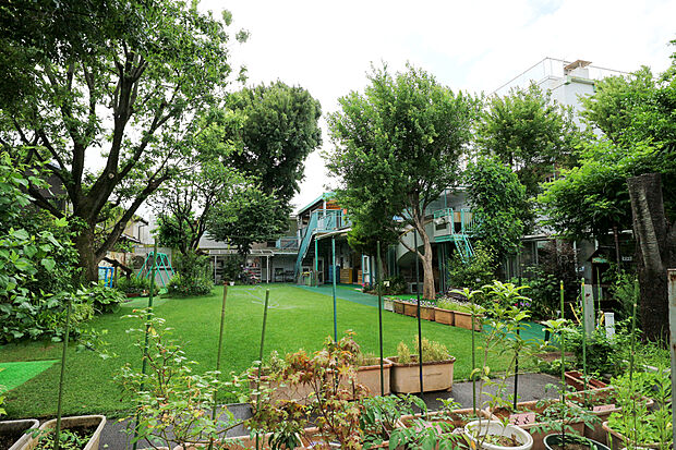 ママの森幼稚園