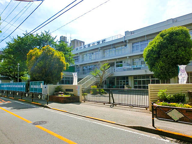 調布市立石原小学校(約500m)