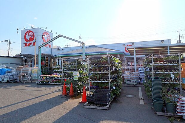 コメリハード＆グリーン府中日新店（約441m）