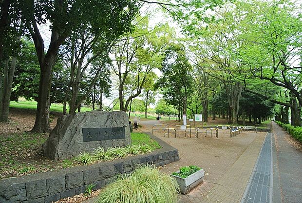 都立光が丘公園
