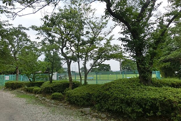 多摩川緑地