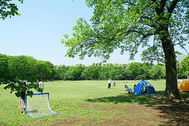 小金井公園