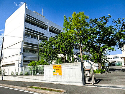 狛江市立狛江第二中学校 約1000ｍ(徒歩約13分)