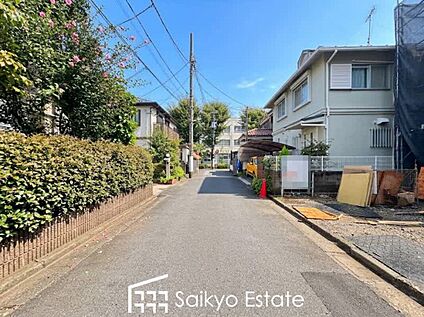 前面道路を含む現地写真