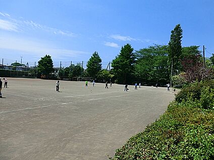 上水公園 約428ｍ(徒歩約6分)