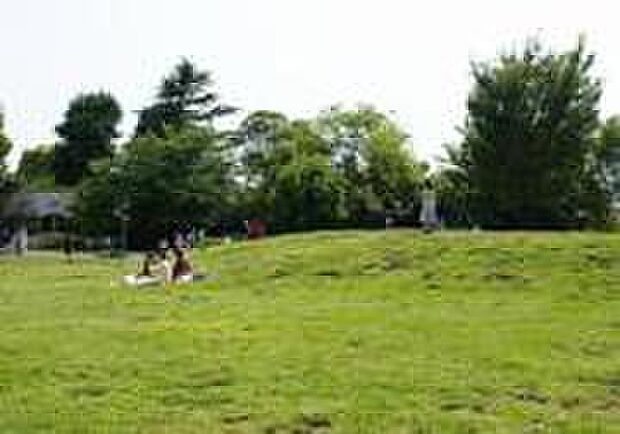 平和の森公園