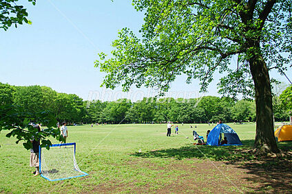 小金井公園 約483ｍ(徒歩約7分)