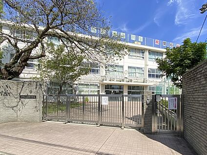 中野区立緑野中学校 約1012ｍ(徒歩約13分)