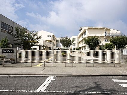 東村山市立南台小学校 約1145ｍ(徒歩約14分)