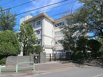 練馬区立八坂中学校 約1100ｍ(徒歩約14分)
