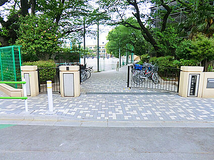 板橋区立赤塚第一中学校 850ｍ(徒歩11分)