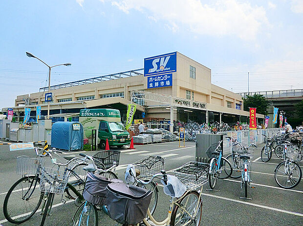 スーパーバリュー 杉並高井戸店（約500m）