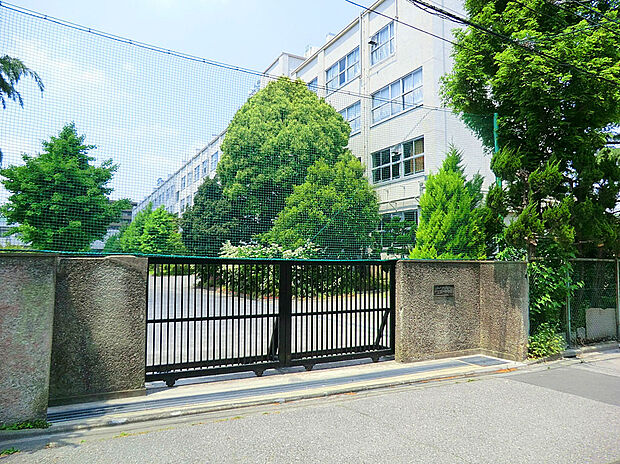 江戸川区立松江第一中学校（約540m）