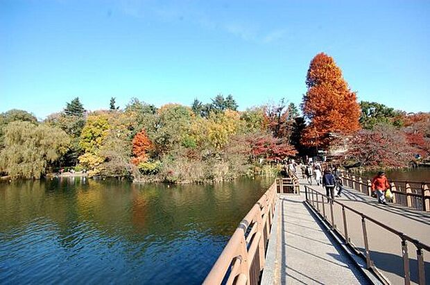 井の頭恩賜公園（約1,800m）