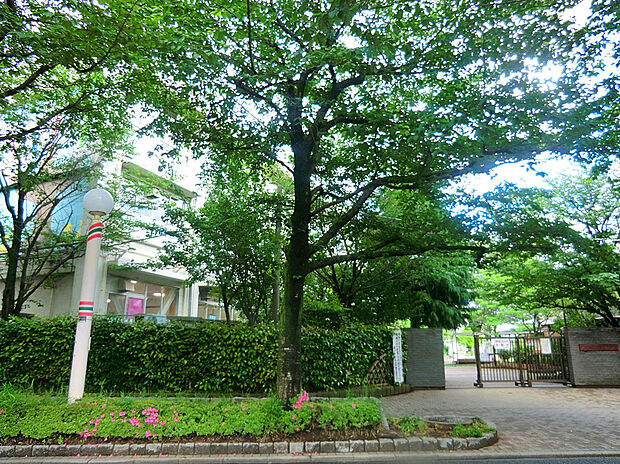 葛飾区立綾南小学校(約500m)