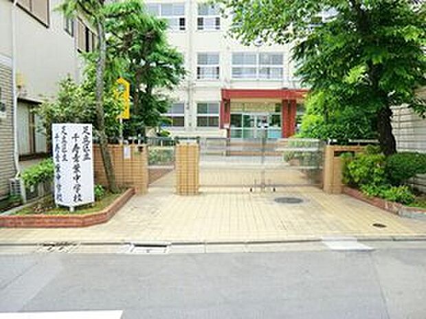 足立区立千寿青葉中学校（約850m）
