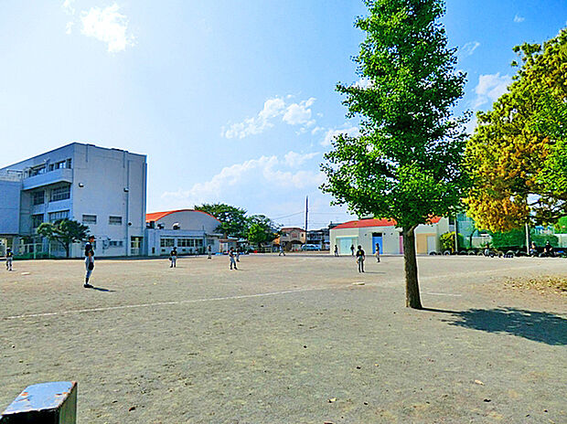 狛江市立狛江第六小学校(約400m)